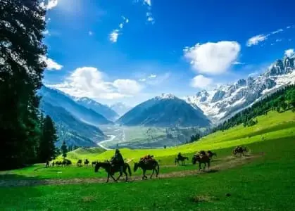 Kashmir Summer Special Holidays